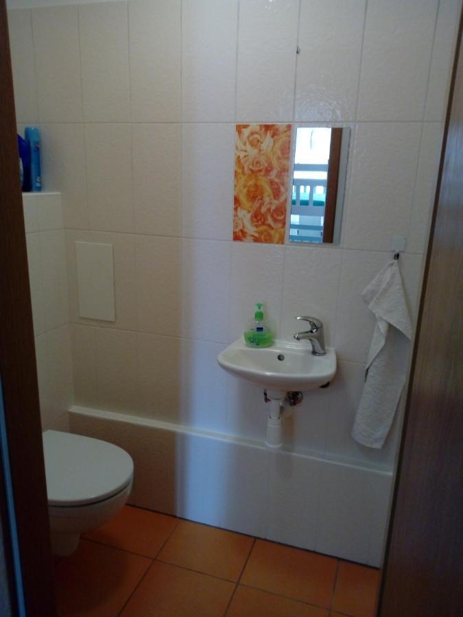 Apartman29 Lipno nad Vltavou Zewnętrze zdjęcie