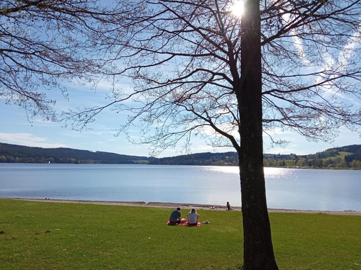Apartman29 Lipno nad Vltavou Zewnętrze zdjęcie