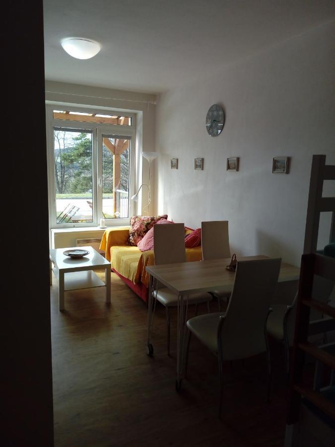Apartman29 Lipno nad Vltavou Zewnętrze zdjęcie